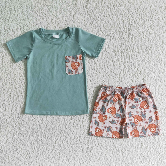 Cow Cactus Boys Shorts Sets